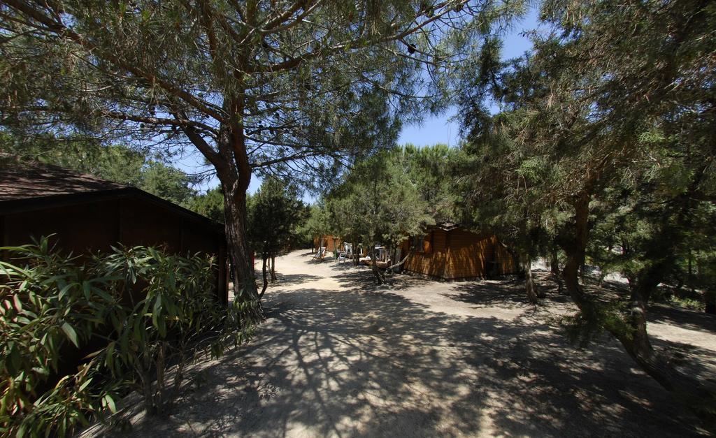 Villaggio Camping Spiaggia Del Riso Villasimius Exteriör bild